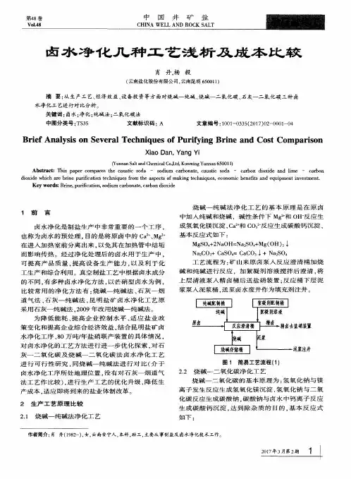 卤水净化几种工艺浅析及成本比较