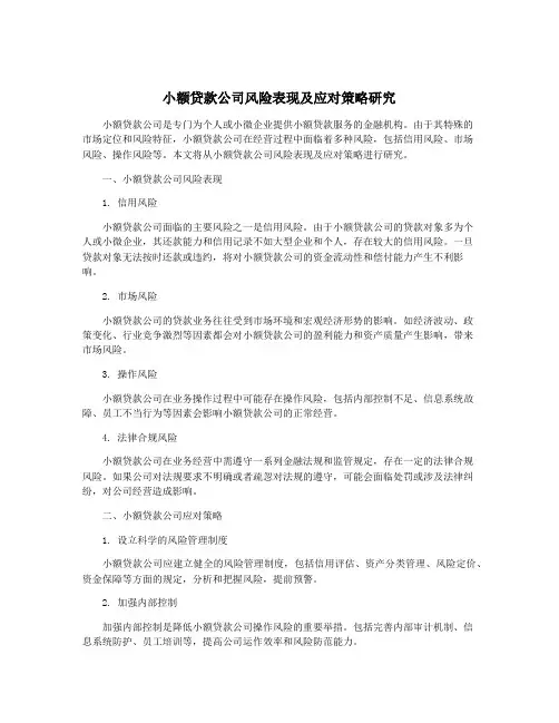 小额贷款公司风险表现及应对策略研究