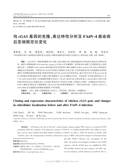 鸡cGAS_基因的克隆、表达特性分析及FAdV－4_感染前后亚细胞定位变化