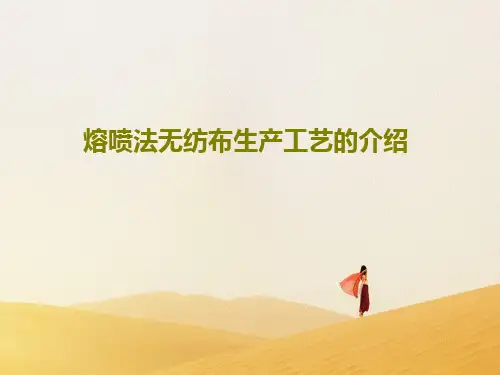 熔喷法无纺布生产工艺的介绍共85页文档