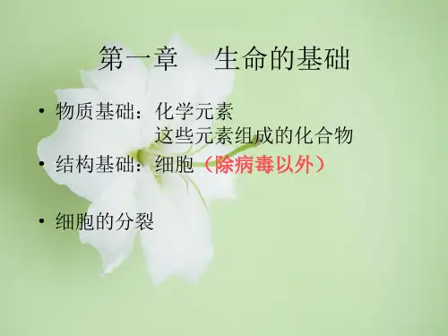 生命的基础PPT教学课件