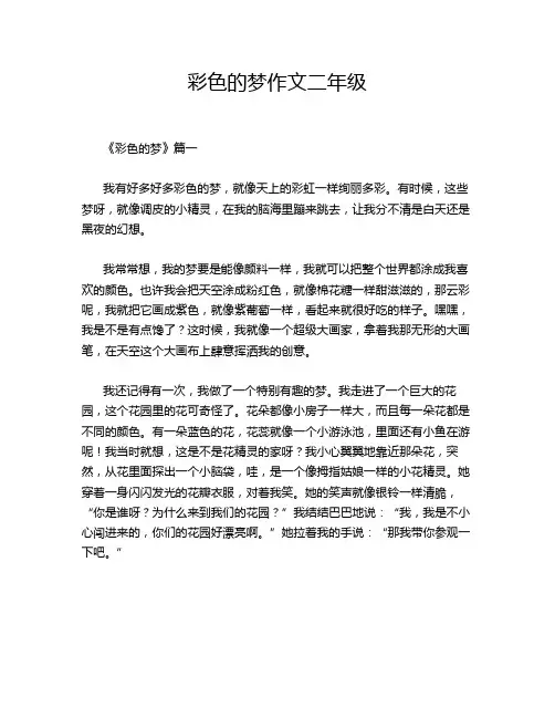 彩色的梦作文二年级