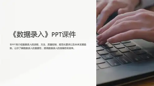 《数据录入》课件