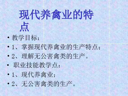 现代养禽业的特点