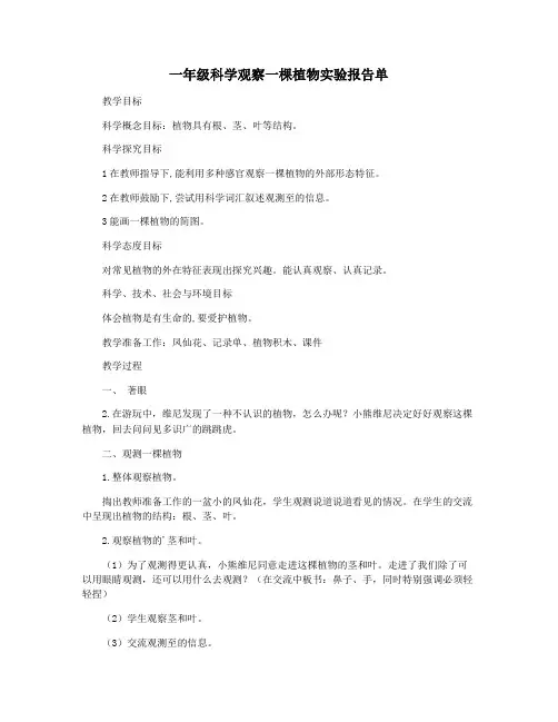 一年级科学观察一棵植物实验报告单