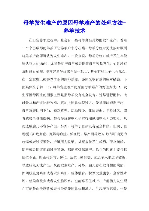 母羊发生难产的原因 母羊难产的处理方法 - 养羊技术