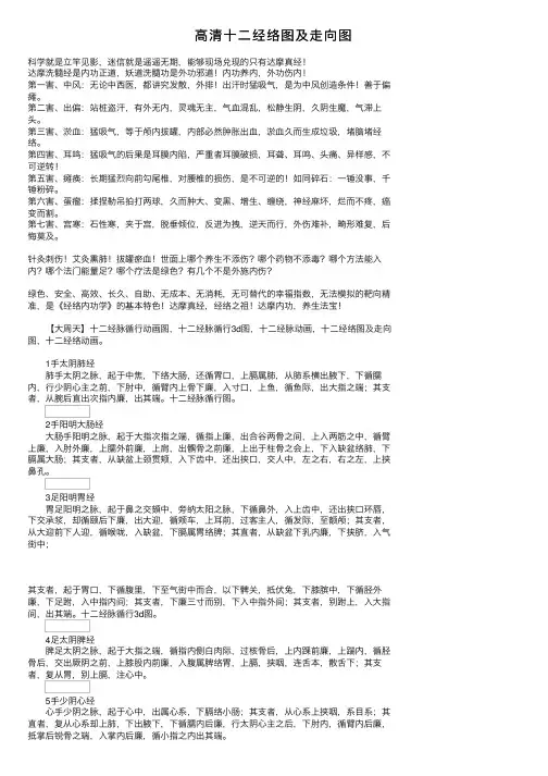 高清十二经络图及走向图