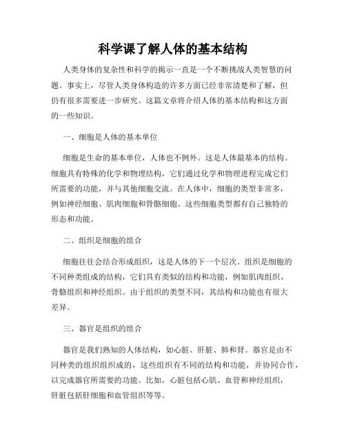 科学课了解人体的基本结构