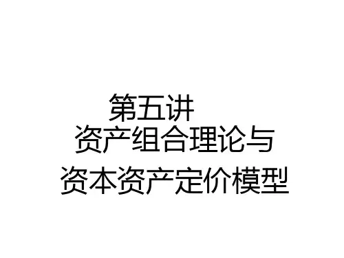 财管5资产组合(ppt37)
