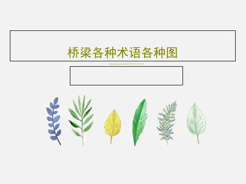 桥梁各种术语各种图共211页文档