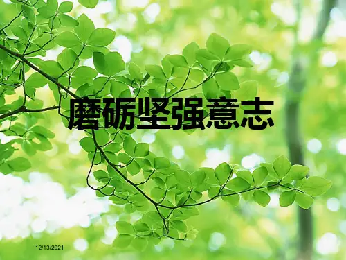 八年级政治上册 3.3 磨砺坚强意志课件 苏教级上册政治课件