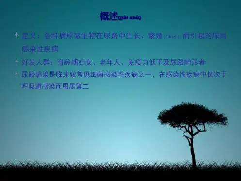 202X年尿路感染及诊疗指南