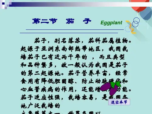 第二节茄子PPT优选版