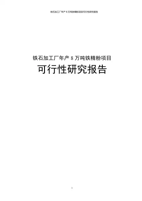 铁石加工厂年产8万吨铁精粉项目可行性研究报告