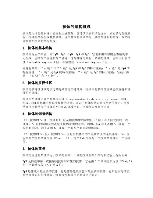 抗体的结构组成