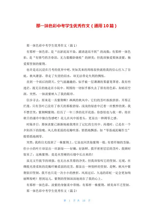 那一抹色彩中考学生优秀作文(通用10篇)