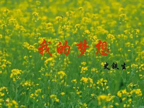15.《我的梦想》