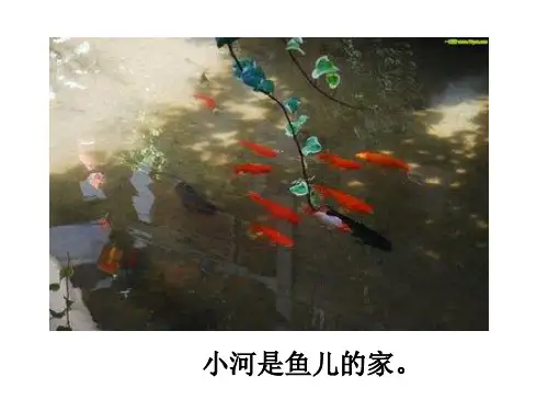 部编版三年级语文上册22 父亲、树林和鸟(1)-优质课件