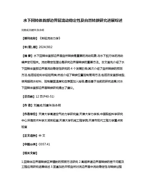 水下回转体首部边界层流动稳定性及自然转捩研究进展综述