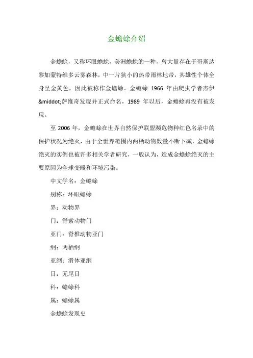 金蟾蜍介绍