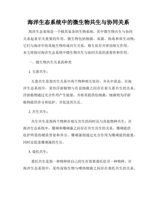 海洋生态系统中的微生物共生与协同关系