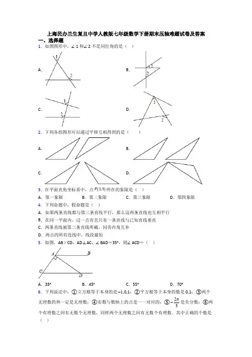 上海民办兰生复旦中学人教版七年级数学下册期末压轴难题试卷及答案