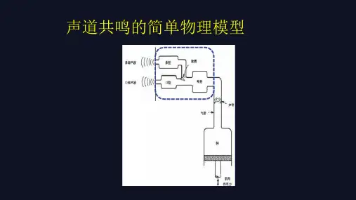 言语治疗技术 构音障碍康复训练 共鸣基础知识与解剖
