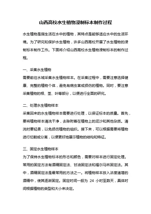 山西高校水生植物浸制标本制作过程