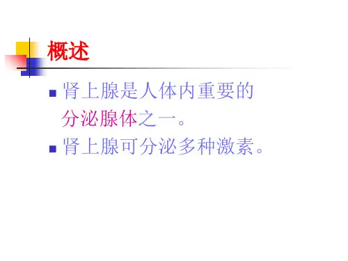 肾上腺囊肿护理查房【PPT课件】
