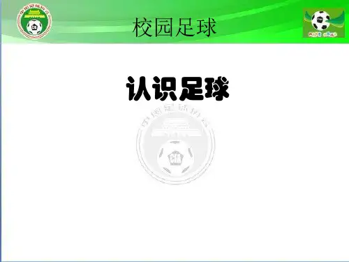 认识足球ppt