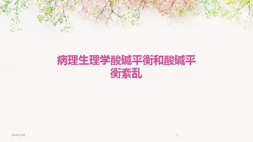 病理生理学酸碱平衡和酸碱平衡紊乱(2024)