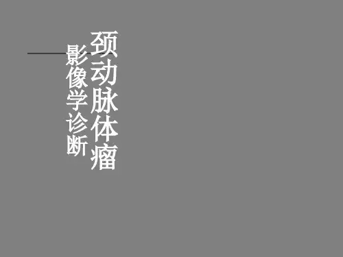 CBT-影像学诊断