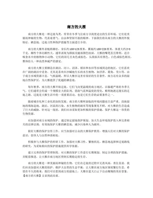 南方的大雁