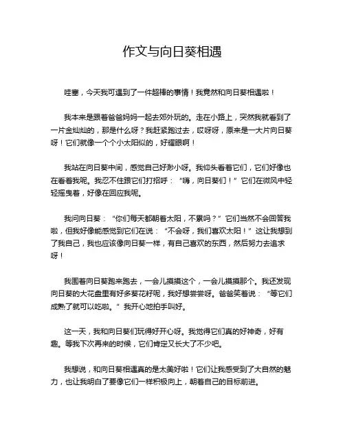 作文与向日葵相遇