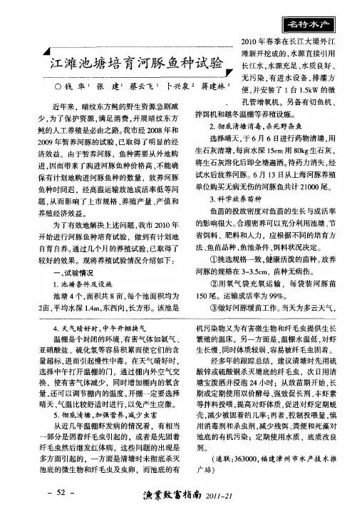 江滩池塘培育河豚鱼种试验