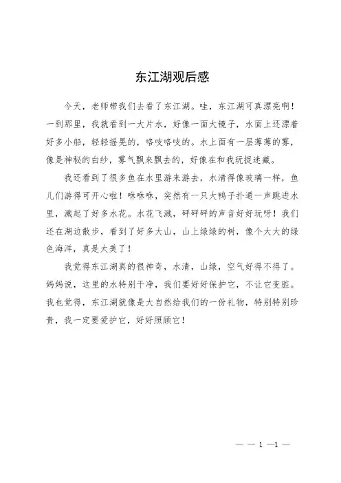 东江湖观后感