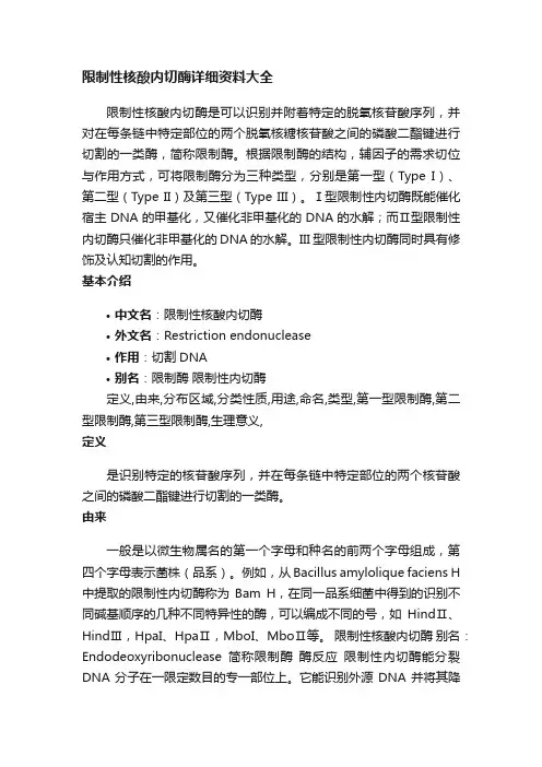 限制性核酸内切酶详细资料大全