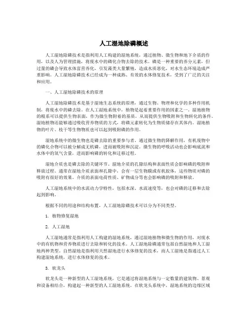 人工湿地除磷概述