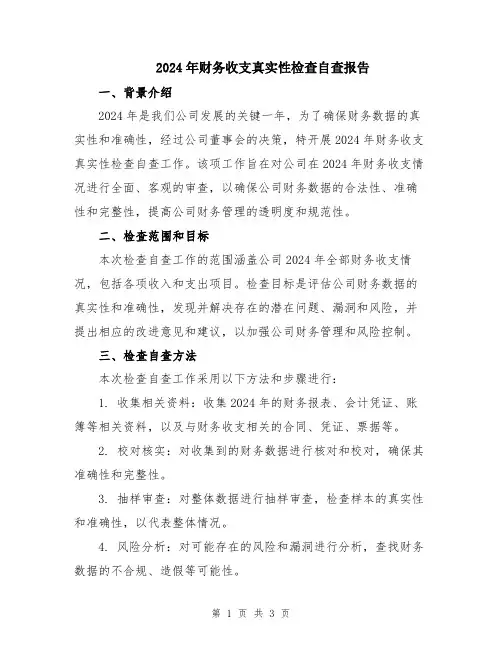 2024年财务收支真实性检查自查报告