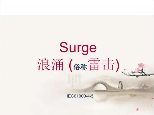 61000-4-5讲义