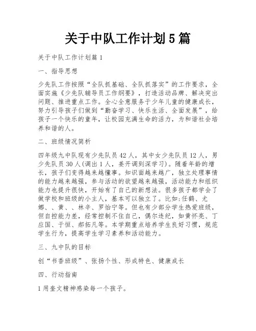 关于中队工作计划5篇