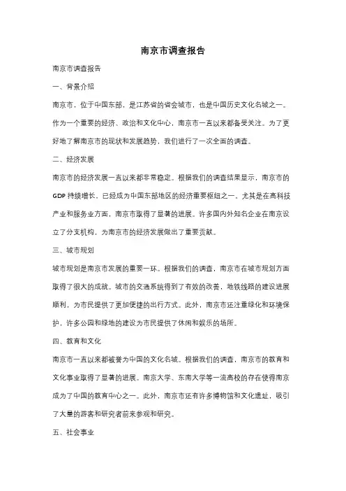 南京市调查报告
