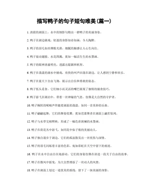 描写鸭子的句子短句唯美(精选两篇)