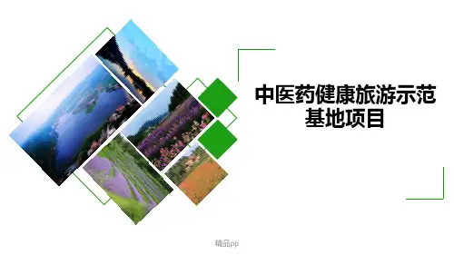 中医药健康旅游示范基地项目