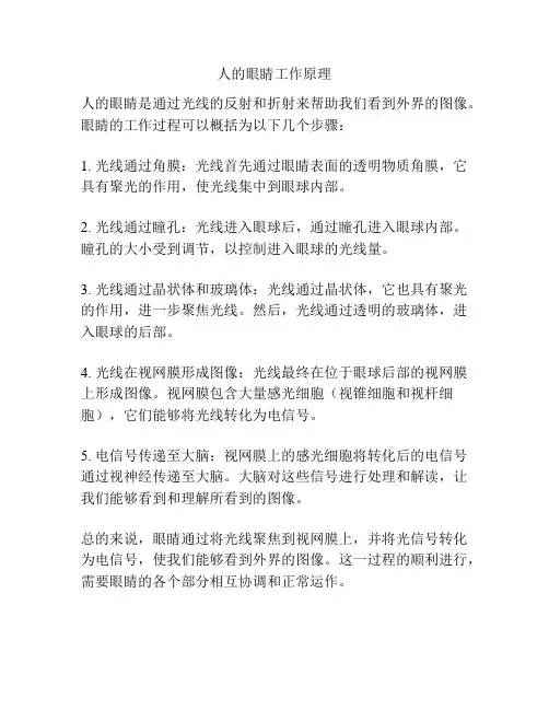 人的眼睛工作原理