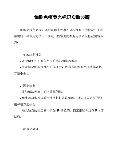 细胞免疫荧光标记实验步骤