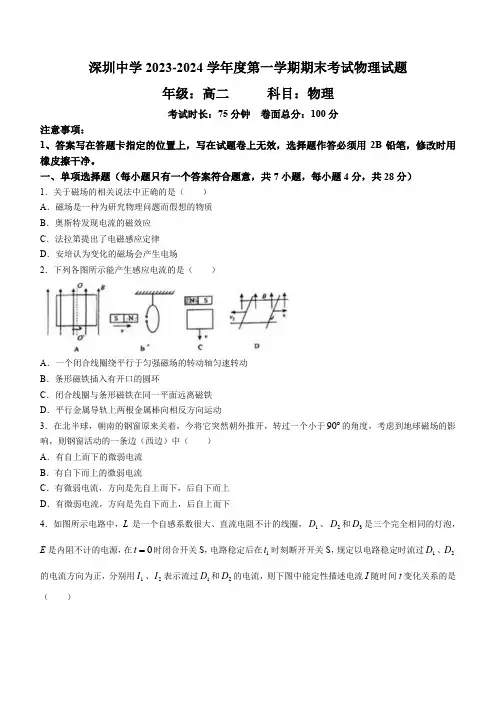 广东省深圳市深圳中学2023-2024学年高二上学期期末考试物理试题(含答案)