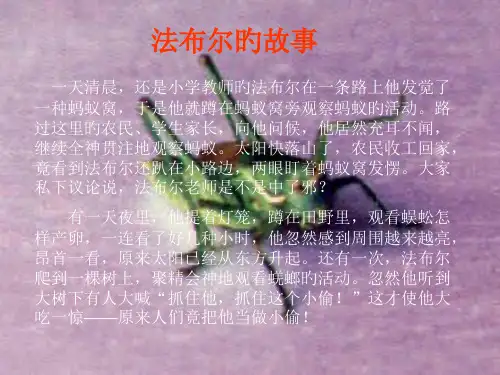 《绿色蝈蝈》ppt06省名师优质课赛课获奖课件市赛课一等奖课件