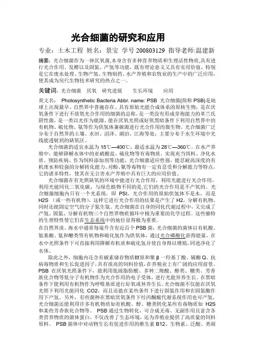 光合细菌的研究和应用
