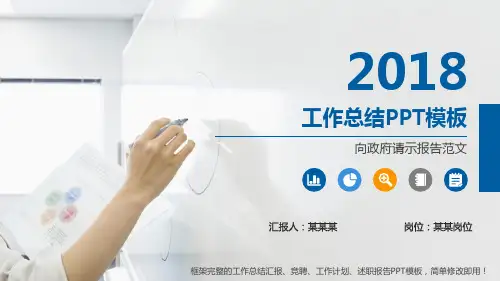 完美版PPT-向政府请示报告范文